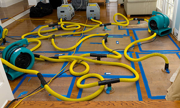 Professional Water Damage Repair technician working in Hallandale, FL